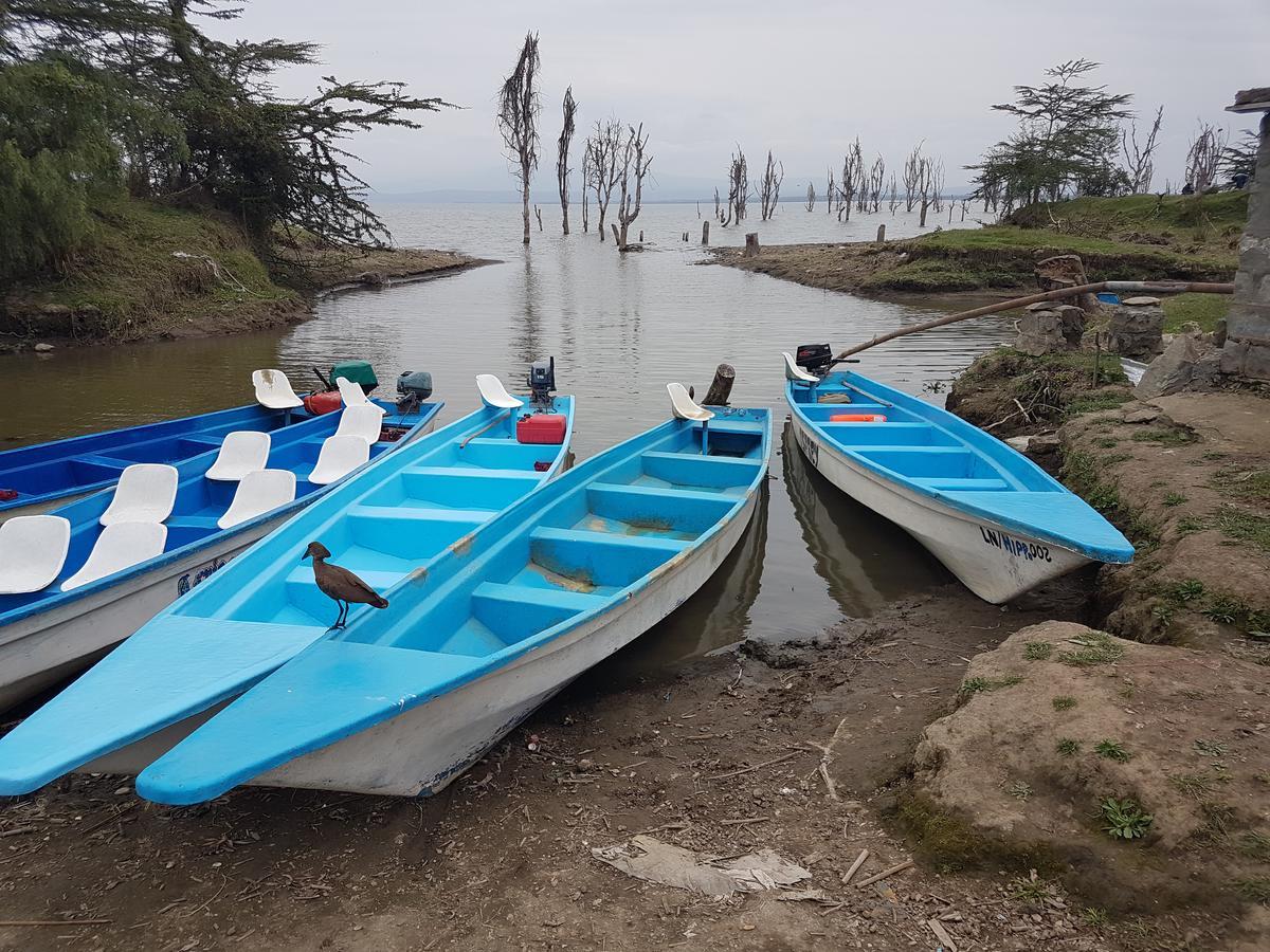 Hippo Safaris Resort Naivasha Zewnętrze zdjęcie