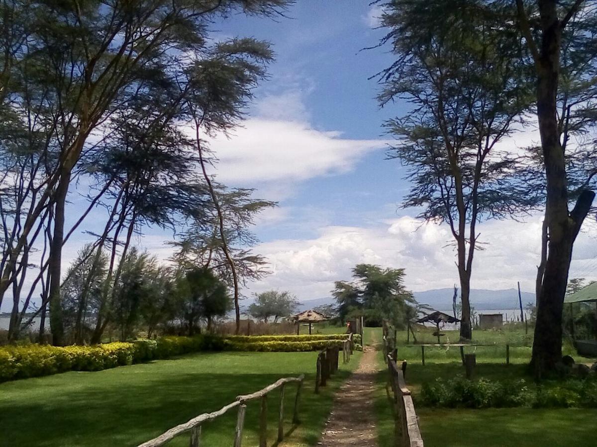 Hippo Safaris Resort Naivasha Zewnętrze zdjęcie