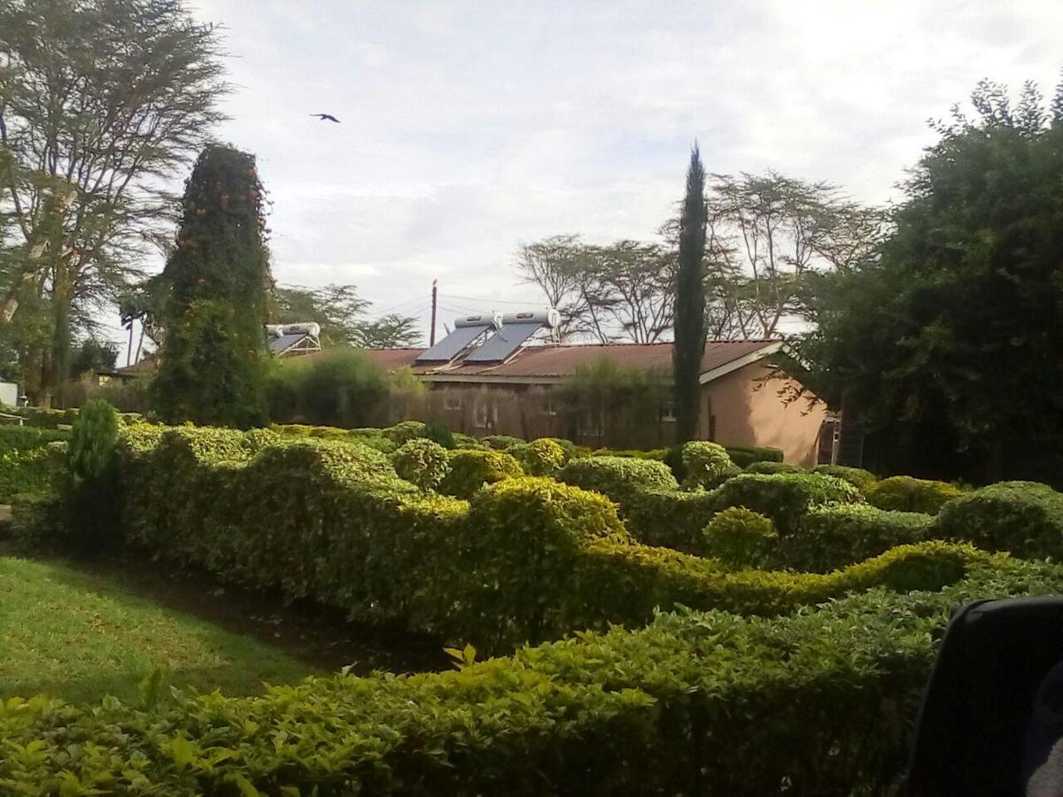 Hippo Safaris Resort Naivasha Zewnętrze zdjęcie