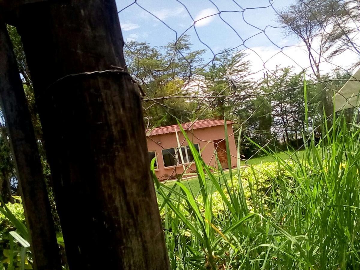 Hippo Safaris Resort Naivasha Zewnętrze zdjęcie