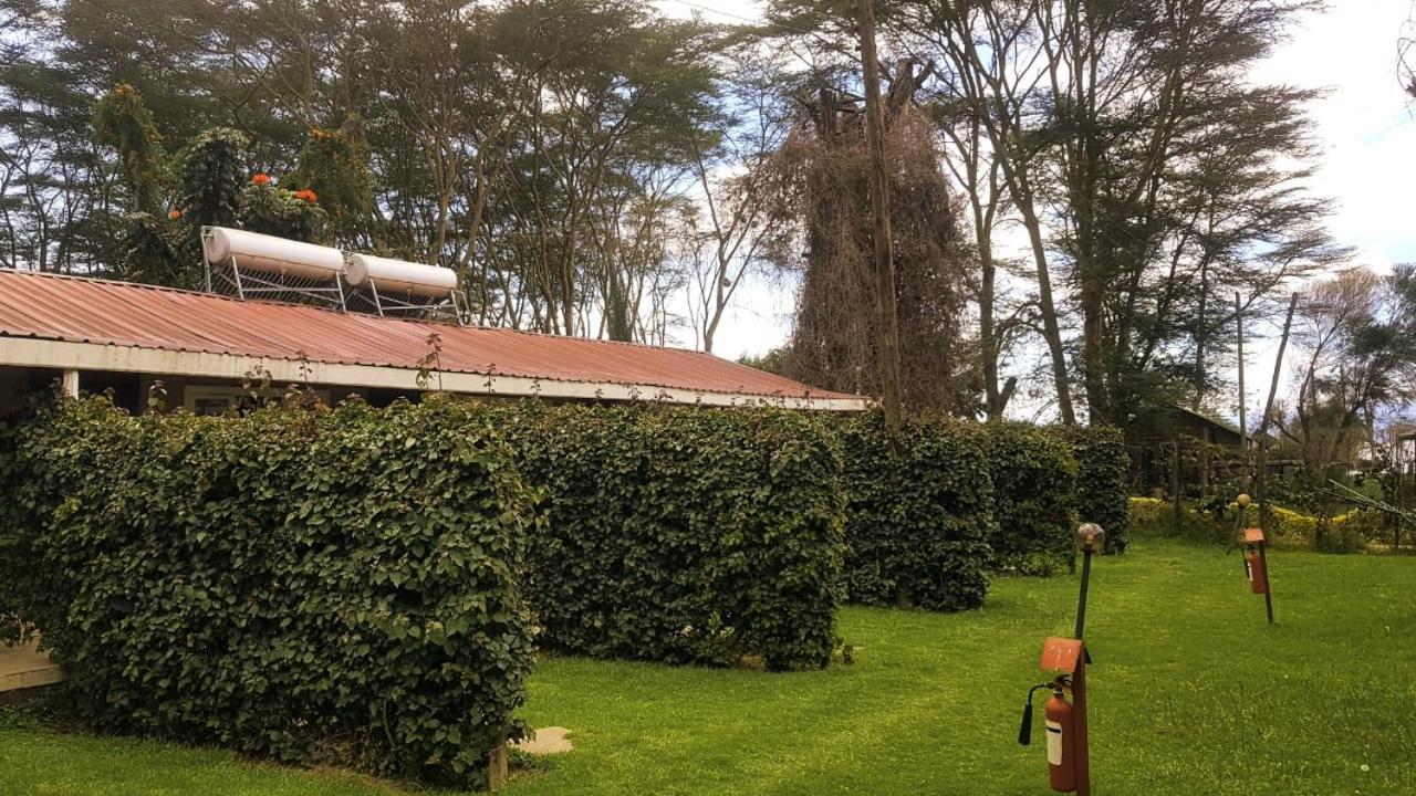 Hippo Safaris Resort Naivasha Zewnętrze zdjęcie